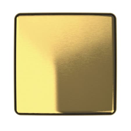 SS2 - BRUSHED BRASS PVD
